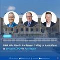 NSW MPs call on Australians to boycott COP29