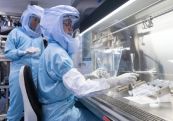 ВОЗ: миру грозит эпидемия вируса Марбург