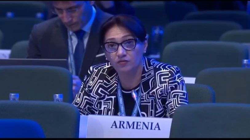 Armenian MP elected deputy chair of SDSP in OSCE PA