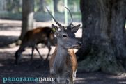 На пороге похолодания: синоптики рассказали о погоде в Армении