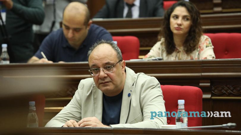 Analyst says Armenia needs protection from its leadership
