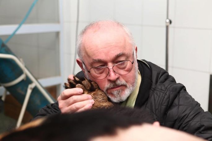История спасенного в Армении медведя – в центре внимания британских звезд