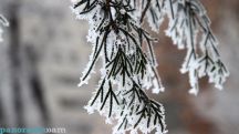 Зима на пороге: сколько стоить поменять шины в Армении и других странах Содружества?