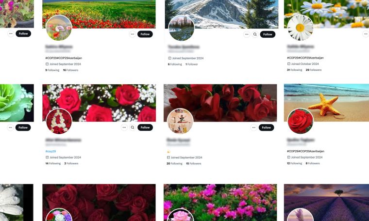 Apparently fake social media accounts boost Azerbaijan's hosting of Cop29