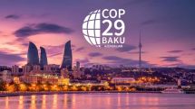 Араик Арутюнян ответил на вопрос об участии Армении в COP-29 в Баку