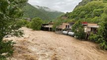 Աղետից տուժած ֆերմերային տնտեսությունները չեն կարողացել վերականգնվել, ոչնչացել են․ Դուլգարյան