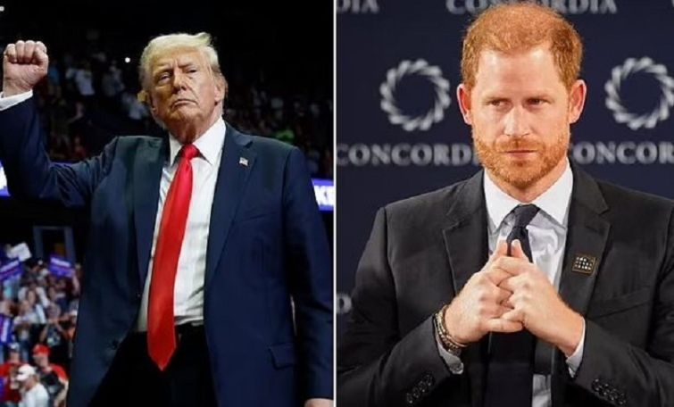 СМИ: Дональд Трамп намерен выслать принца Гарри из страны