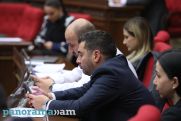 Шурин Пашиняна: На выборах 2026 года общество своим голосованием выразит свое отношение к визиту Анны Акопян в Танзанию