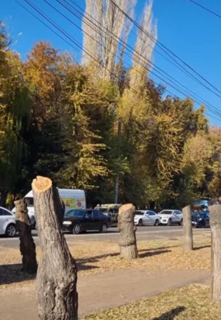 Կրթվեք, աշխարհը բաց է. Քրիստինա Վարդանյան