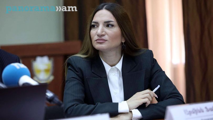 Ֆինանսների նախարարի արարքներում կարող են լինել մի քանի հանցակազմեր. Արմինե Ֆանյան
