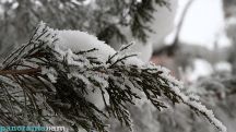 В 3 областях Армении за день выпала месячная норма осадков