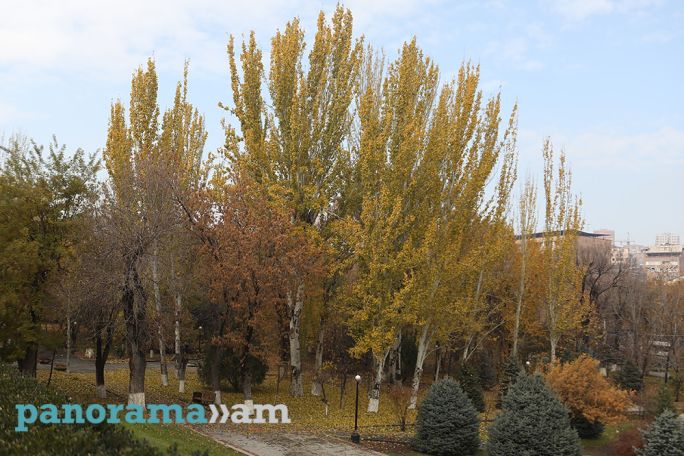 Եղանակն՝ առաջիկա օրերին