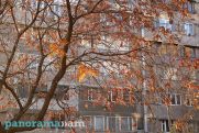 Синоптики рассказали о погоде в Армении на выходных