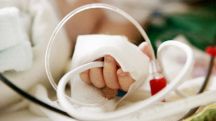 Armenia reports 119 whooping cough cases this year