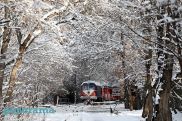 Сегодня самый короткий световой день в году