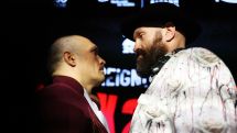 Усик о бороде Фьюри перед реваншем: Она ему не поможет