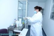 В Армении наблюдается рост заболеваемости ОРВИ