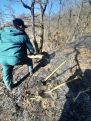 Вспыхнувший в горах Армении пожар потушен, Спасательная служба рассказала о последствиях