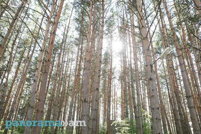 Погода в Армении: в Сюнике столбики термометров поднимутся до +17°C