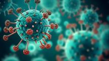 Human metapneumovirus causes relatively mild symptoms, WHO says