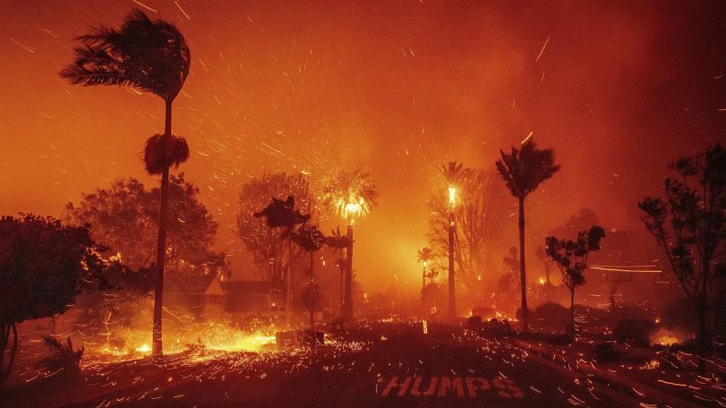 At least 11 dead in Los Angeles wildfires