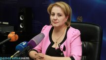 Սա մանիպուլյատիվ ձևակերպում է և ոչ թե աշխատանքի արդյունք․ Ծաղիկ Վարդանյան