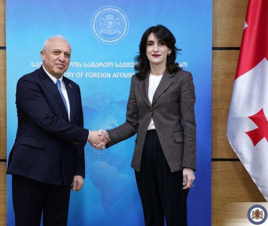 Armenian ambassador meets with Georgian FM