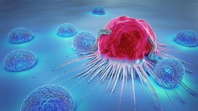 Armenia sees rise in cancer incidence, mortality rates