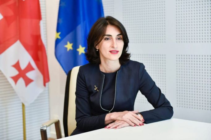 Ելակետը պետք է լինի մեր երկրի ապագան, այլ ոչ թե այն, ինչ Եվրախորհրդարանի անդամներ կգրեն բանաձևում. Վրաստանի ԱԳՆ