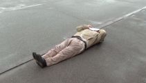 Дело против активиста Самвела Варданяна: даже Вардгес Гаспари пришел полежать