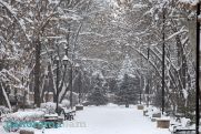 Ձյուն, բուք, քամու ուժգնացում, ջերմաստիճանի նվազում. Եղանակն՝ առաջիկա օրերին