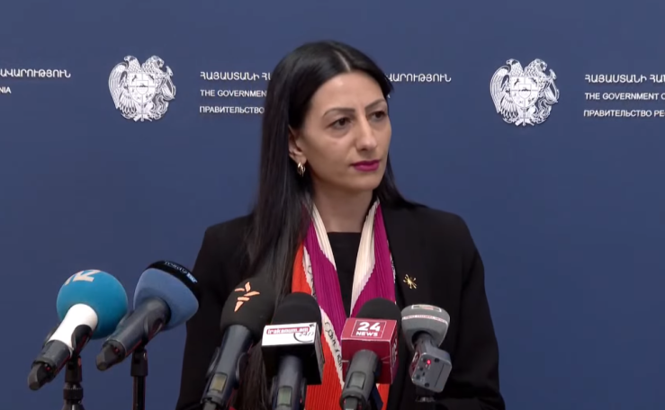 Միջազգային գործըներների հետ հաղորդակցություն վարված է, բայց նպատակահարմար չեմ համարում մանրամասներ ներկայացնել. ՄԻՊ-ը՝ Ռուբեն Վարդանյանի վիճակի մասին