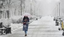 В Сочи продолжают борьбу с мощным снегопадом