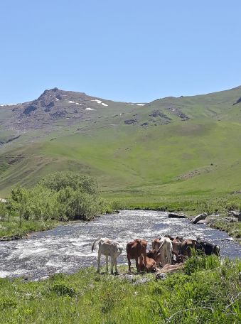 Ջերմուկցիները պատրաստ են պայքարել իրենց կենսատարածքի համար․ բնակիչը՝ Ամուլսարի ծրագրի մասին