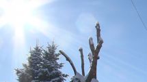 Temperatures to rise by 6-8 degrees