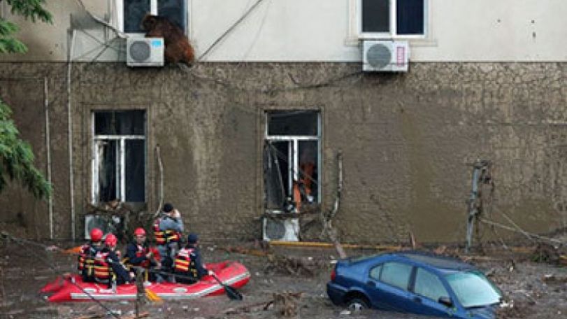 Armenians reported among Tbilisi flood victims