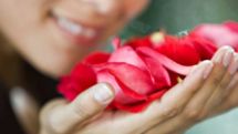 Humans can discriminate more than 1 trillion olfactory stimuli