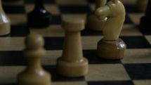Rochefort Tournament: Panbukchian has 5 points after eight rounds