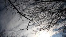 Температура воздуха в Армении в ближайшие дни существенно не изменится