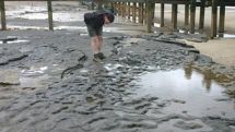 Earliest footprints outside Africa discovered in Norfolk