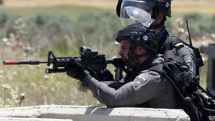 Real action must be taken against Israel – analyst