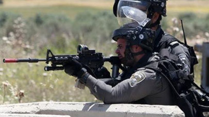 Real action must be taken against Israel – analyst