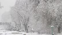 Snowstorm in several regions of Armenia