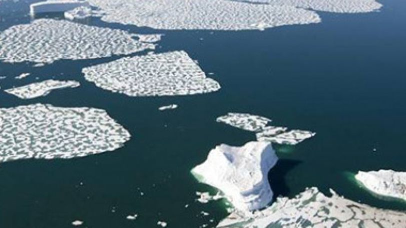 Climate change may lead to new life forms  