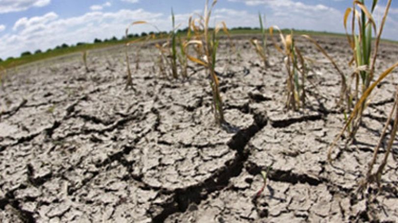Wars for water: utopia or sad prospect?