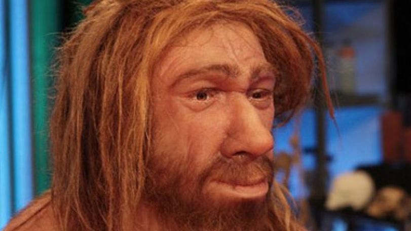 Neanderthals could speak like modern humans, study suggests