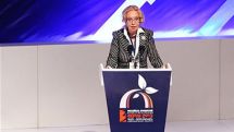 Татьяна Валовая: Армения не только не уступает странам Таможенного союза по многим показателям, но и обладает рядом преимуществ