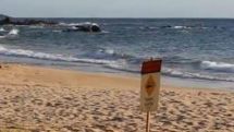 Shark kills fisherman in kayak off coast of Hawaii