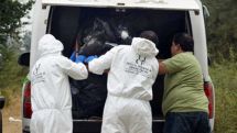 42 bodies found in mass graves in Mexico