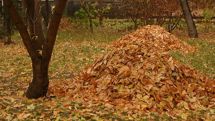 Cloudy weather expected in Yerevan; temperatures will not change